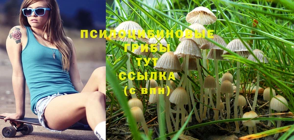 индика Пролетарск