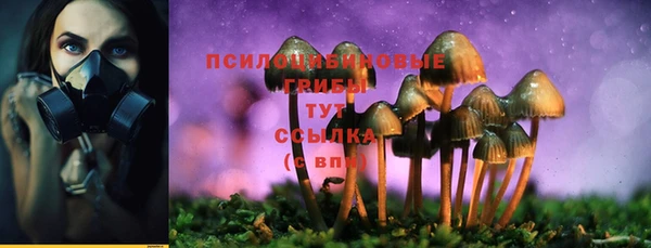 гидра Медногорск