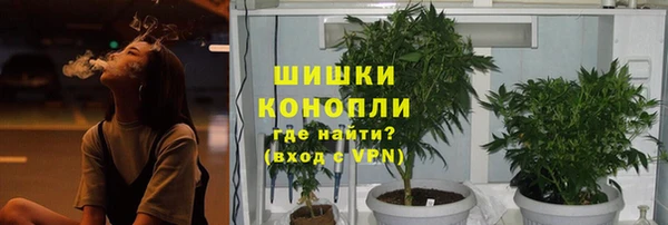стафф Медвежьегорск