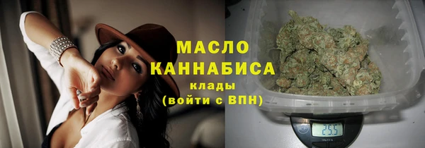 гашик Мегион