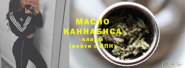 гидра Медногорск