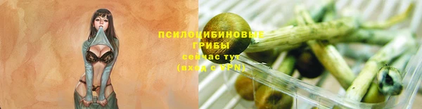 гидра Медногорск