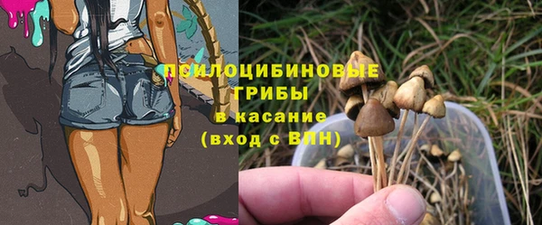 гидра Медногорск