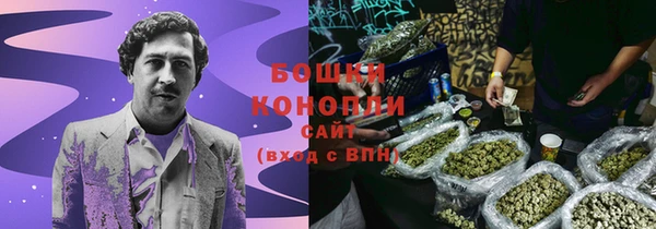 стафф Медвежьегорск