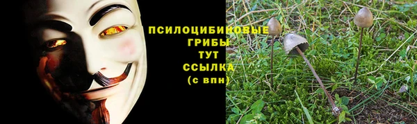 гидра Медногорск