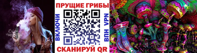 Псилоцибиновые грибы Magic Shrooms  Чегем 